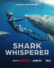 Shark Whisperer (2025) คนรักษ์ฉลาม