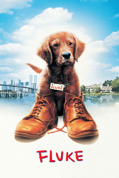โปสเตอร์ Fluke (1995)
