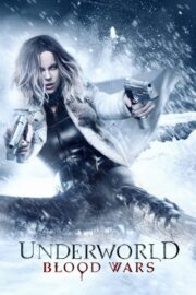 Underworld: Blood Wars (2016) | หนังดี24