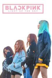 Blackpink: Light Up the Sky (2020) | หนังดี24
