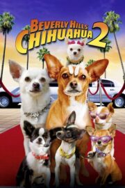 Beverly Hills Chihuahua 2 (2011) | หนังดี24