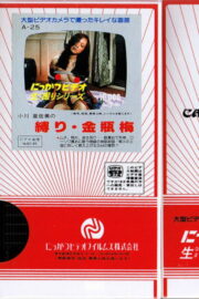 Jin Pin Mei (1996) | หนังดี24