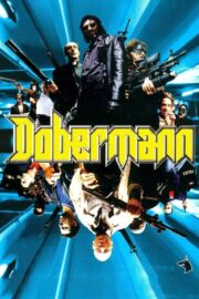 Dobermann (1997) | หนังดี24
