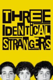 Three Identical Strangers (2018) | หนังดี24