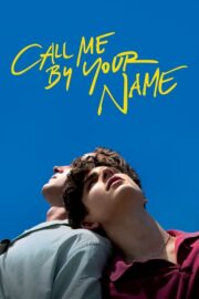 Call Me by Your Name (2017) | หนังดี24