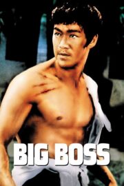 The Big Boss (1971) | หนังดี24