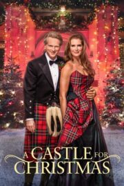 A Castle for Christmas (2021) | หนังดี24