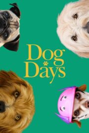 Dog Days (2018) | หนังดี24