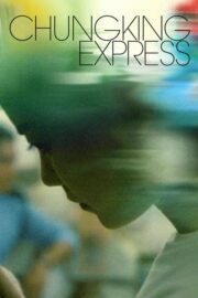 Chungking Express (1994) | หนังดี24