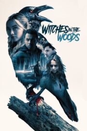 Witches in the Woods (2019) | หนังดี24