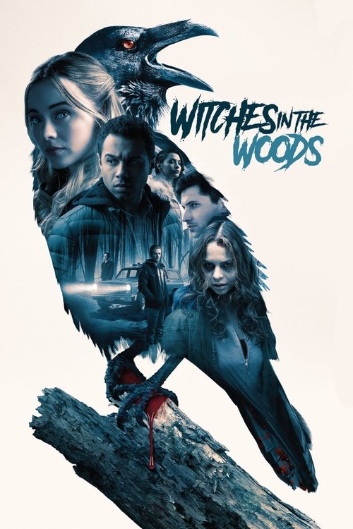 โปสเตอร์ Witches in the Woods (2019)