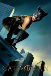 Catwoman (2004) | หนังดี24