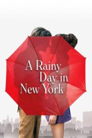 A Rainy Day in New York (2019) | หนังดี24