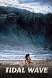 Haeundae (Tidal Wave) (2009) | หนังดี24