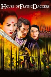 House of Flying Daggers (Shi mian mai fu) (2004) | หนังดี24